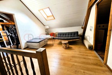 Magnifique maison avec deux appartements et un grand terrain