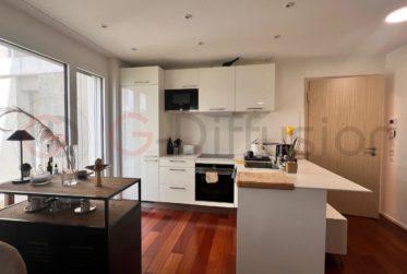 Luxury 3.5 room furnished flat - Appartement 3.5 pcs meublé de standing