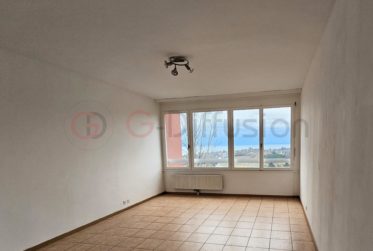 2.5 Zimmer Wohnung, Renovierte Wohnung