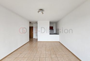 2.5 Zimmer Wohnung, Renovierte Wohnung