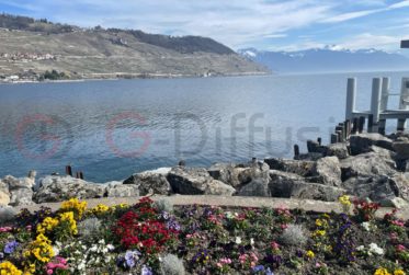 Prestige, espace et panorama d’exception sur le Lac Léman et le Lavaux