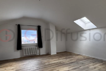 3.5 Zimmer Wohnung, Renovierte Wohnung