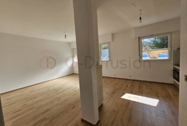 Magnifique appartement rénové