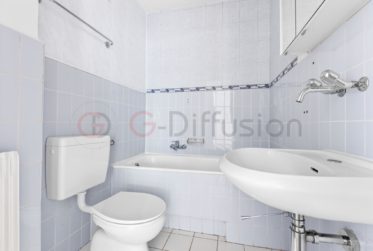 3.5 Zimmer Wohnung, Renovierte Wohnung