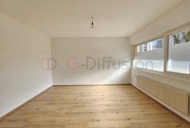 Magnifique appartement rénové