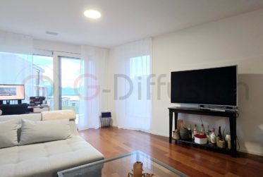 Luxury 3.5 room furnished flat - Appartement 3.5 pcs meublé de standing