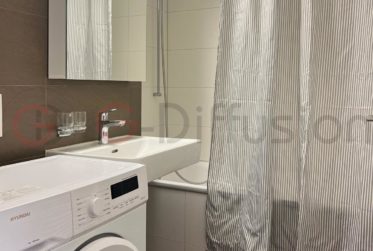 Furnished flat of 4.5 room - Appartement meublé de 4.5 Epalinges