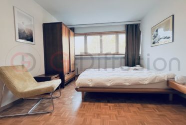 Furnished flat of 4.5 room - Appartement meublé de 4.5 Epalinges