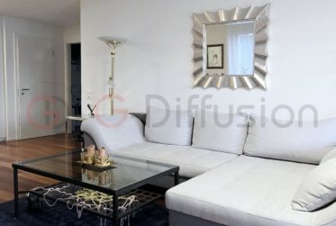 Luxury 3.5 room furnished flat - Appartement 3.5 pcs meublé de standing