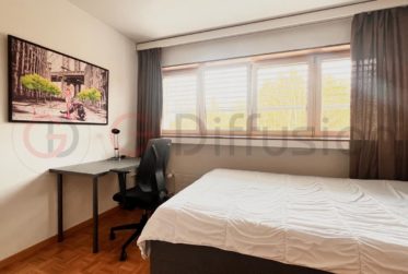 Furnished flat of 4.5 room - Appartement meublé de 4.5 Epalinges