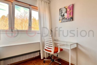 Furnished flat of 4.5 room - Appartement meublé de 4.5 Epalinges