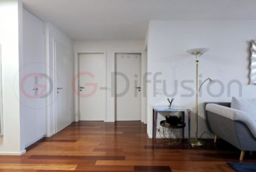 Luxury 3.5 room furnished flat - Appartement 3.5 pcs meublé de standing