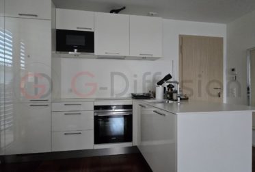 Luxury 3.5 room furnished flat - Appartement 3.5 pcs meublé de standing