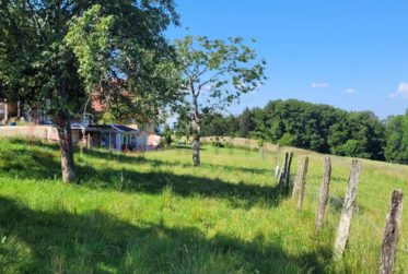 Grand et beau terrain à Oron-le-Châtel