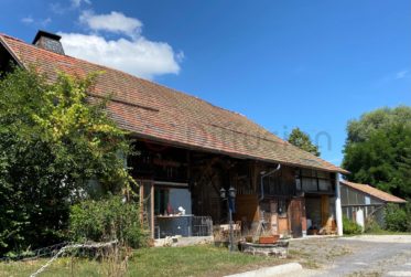 Grand et beau terrain à Oron-le-Châtel