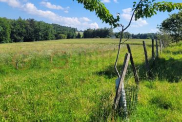 Grand et beau terrain à Oron-le-Châtel