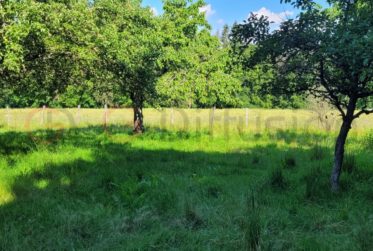 Grand et beau terrain à Oron-le-Châtel