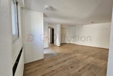 Magnifique maison rénové avec deux appartements indépendants