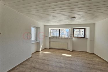 Magnifique maison rénové avec deux appartements indépendants