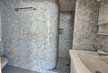 Magnifique maison rénové avec deux appartements indépendants