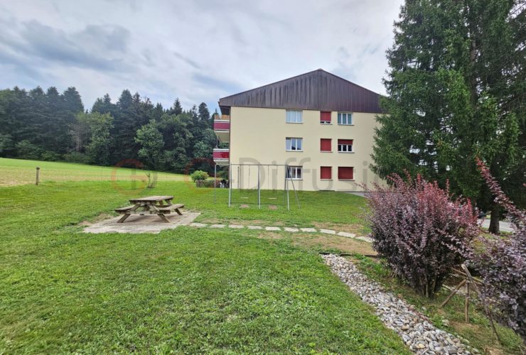 Magnifique appartement de 2.5 pièces rénové