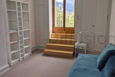 Location Appartement 3,5 pièces en Attique au coeur de Vevey