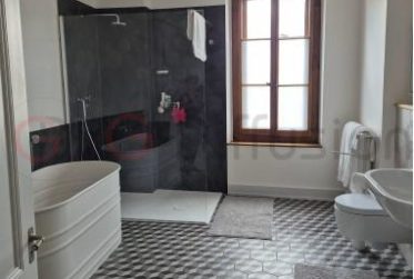 Location Appartement 3,5 pièces en Attique au coeur de Vevey