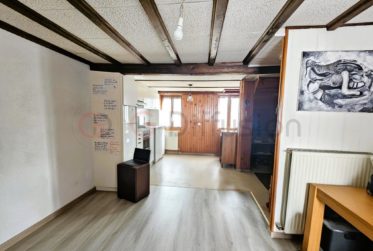 Magnifique appartement rénové