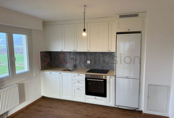 2.5 Rooms Wohnung, Renovierte Wohnung