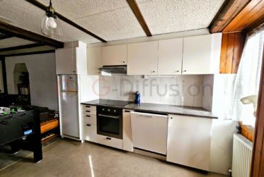 Magnifique appartement rénové