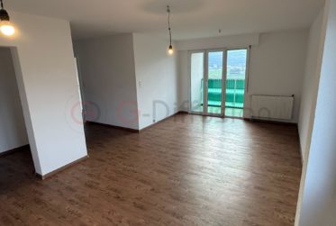 Appartement 2.5 pièces avec une magnifique vue