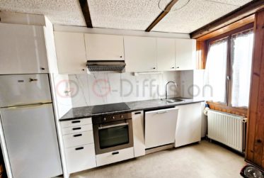 Magnifique appartement rénové