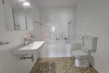 Appartement 2.5 pièces avec une magnifique vue