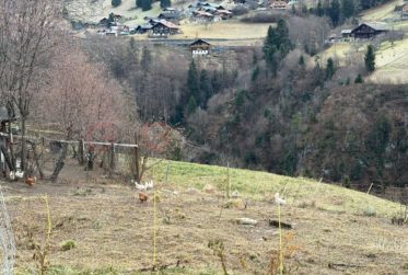 CHALET - IMMEUBLE DE RENDEMENT