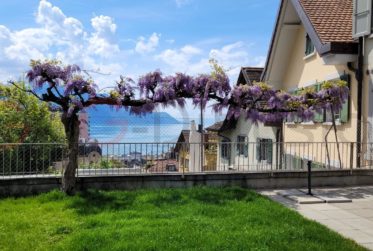 Splendide appartement avec vue panoramique imprenable sur le lac Léman et les montagnes