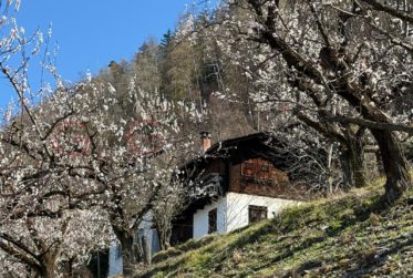 Chalet à renover à vendre à Saxon