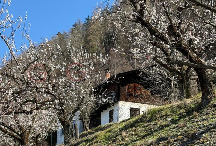 Chalet à renover à vendre à Saxon