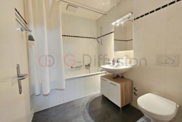 Splendide appartement avec vue panoramique imprenable sur le lac Léman et les montagnes