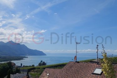 Magnifique villa individuelle à vendre à Villeneuve