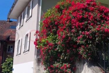 Magnifique villa individuelle à vendre à Villeneuve