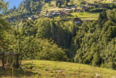 À vendre – Chalet à rénover avec fort potentiel de développement à Troistorrents | CHF 390'000.–