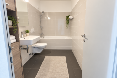 APPARTEMENT 4,5 PIÈCES AVEC TERRASSE ROOFTOP A VENDRE A VEVEY