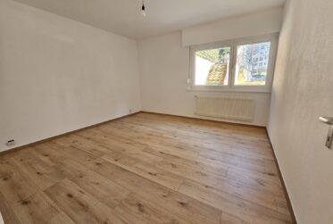 Magnifique appartement de rendement rénové