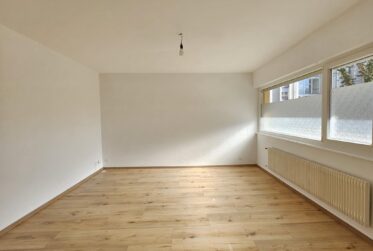 Magnifique appartement de rendement rénové